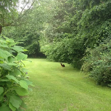 Ideal In With Private Pool Burdinne