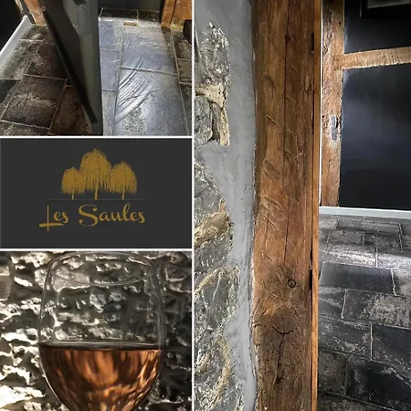 Ideal In With Private Pool * Burdinne
