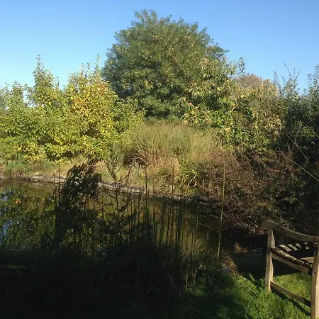 Ideal In With Private Pool Villa Burdinne