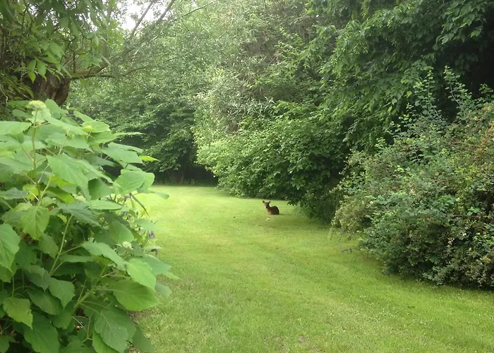 Ideal In With Private Pool Burdinne